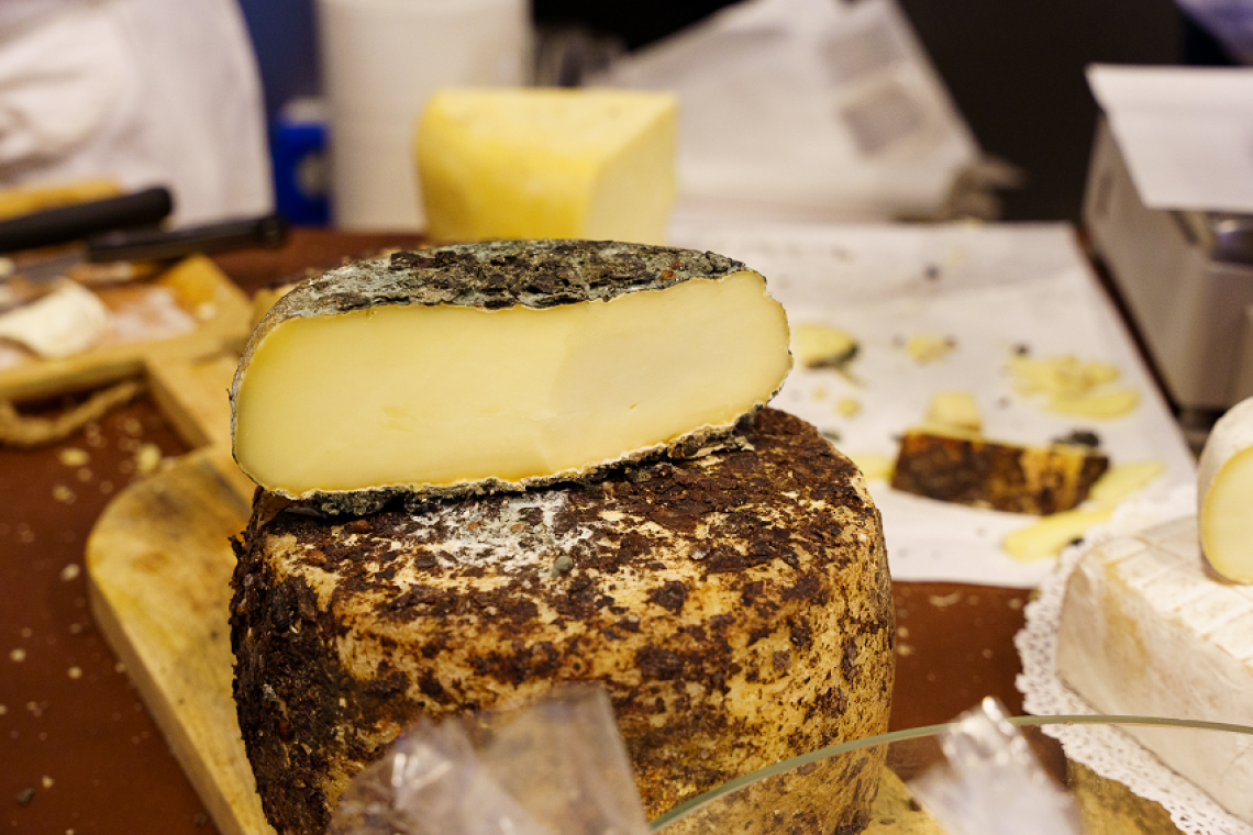 Città dell’Altra Economia  Quinta edizione di Formaticum Dal 2 al 3 marzo 2024