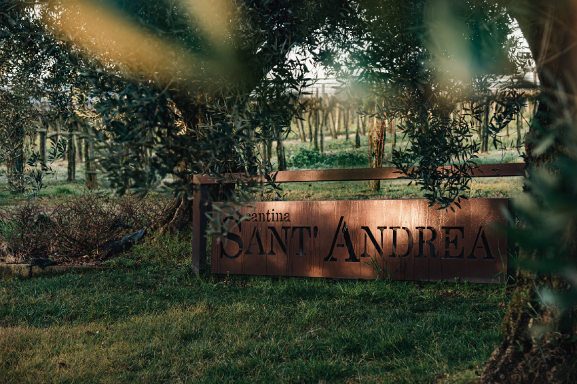 Muscats du monde 2024: Cantina Sant’Andrea sul podio dei 10 moscati migliori del mondo