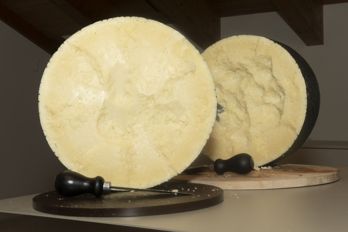 Castel Gandolfo (RM): la rivoluzione del Pecorino Romano Dop di Cibaria