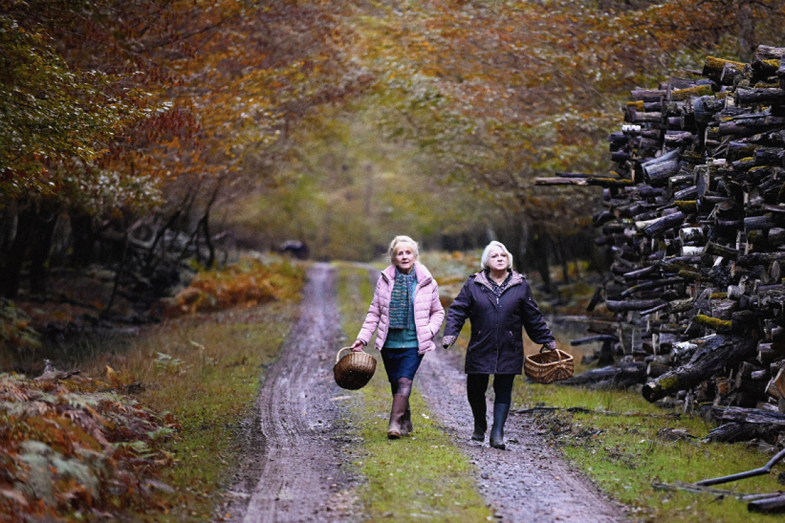 Dal 2 al 6 aprile 2025 torna in Italia RENDEZ-VOUS, il festival dedicato al CINEMA FRANCESE.