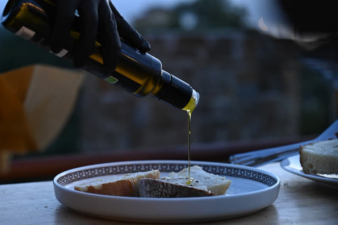 OlivitalyMed, il Cilento sempre più cuore pulsante dell’Extravergine: si chiude con successo la seconda edizione