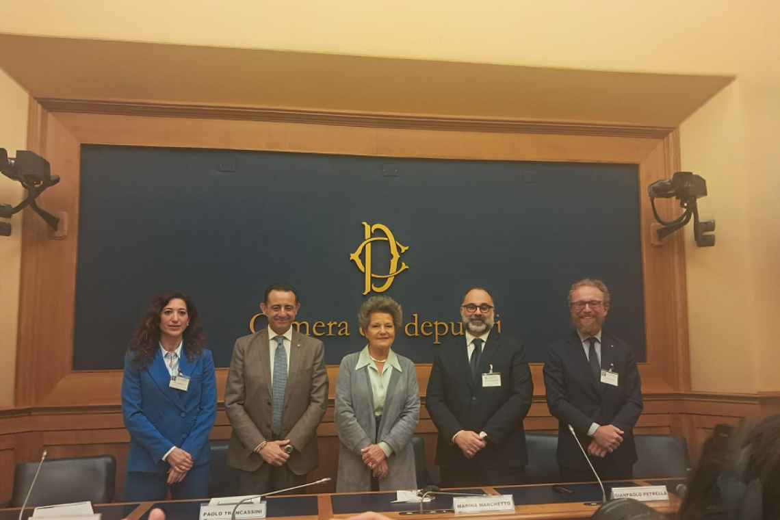 Parkinson, Alzheimer o... Idrocefalo Normoteso? Una patologia curabile": grande interesse per la conferenza alla Camera dei deputati