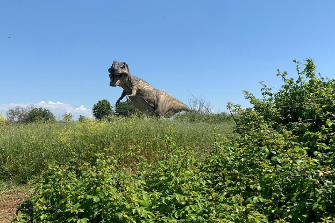Primavera tra natura e dinosauri: le attività per famiglie all’Oasi WWF di Castel Romano