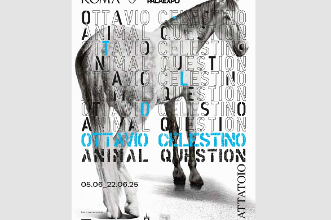 Dal 5 al 22 giugno 2025 il Mattatoio di Roma presenta la mostra Ottavio Celestino. ANIMAL QUESTION