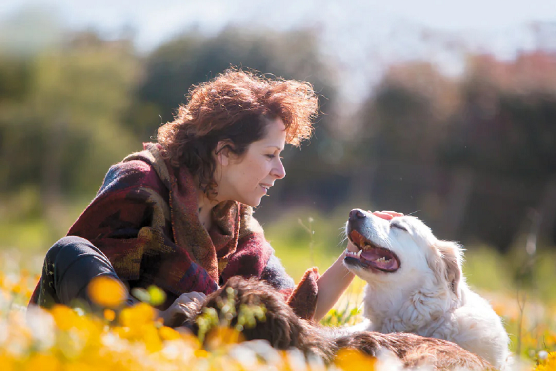 La ciotola di medicina approda al Baubeach®