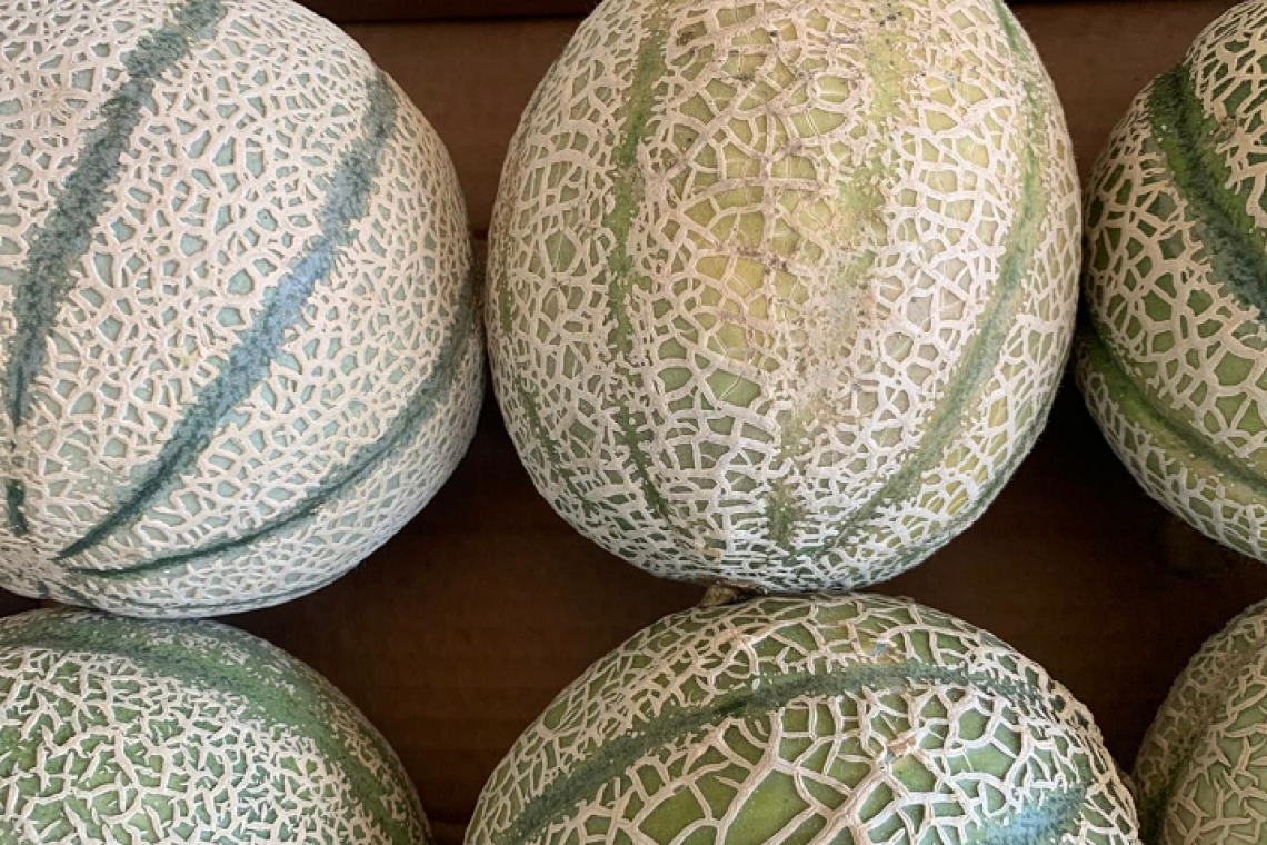 Il melone, un ottimo alleato della bellezza