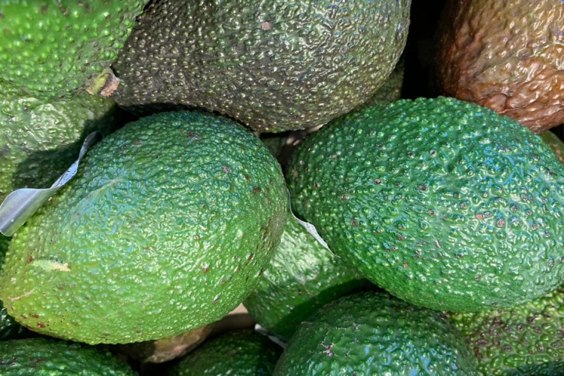 Avocado: Benefici e Proprietà