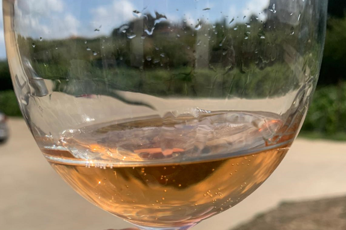 Grande successo per le notti del vino di Velletri in Piazza Cairoli