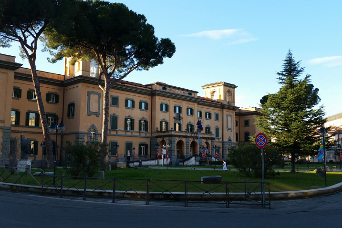 Tumore al pancreas: al San Camillo Forlanini concluso studio internazionale, ospedale secondo al mondo per arruolamenti