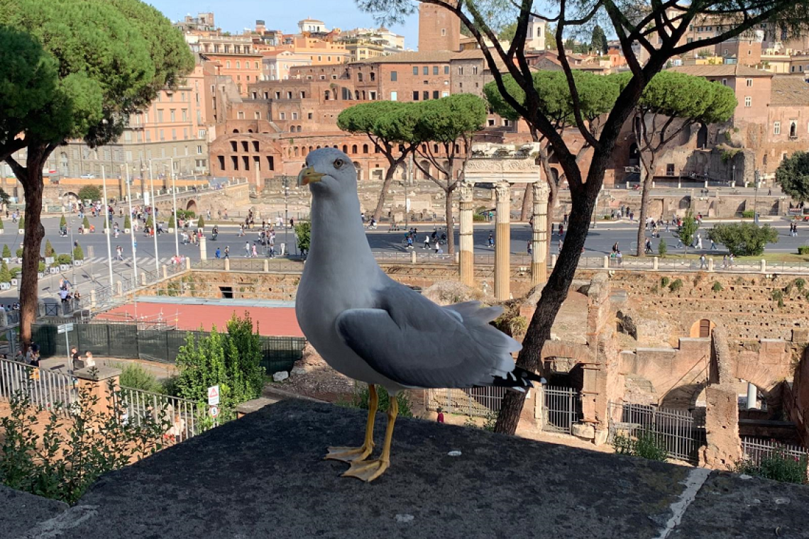 Musei e siti archeologici aperti a ferragosto