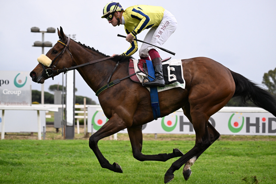 Ippodromo Capannelle: lunedì 1 settembre si riparte  La “divina" Klaynn inaugura la stagione delle corse