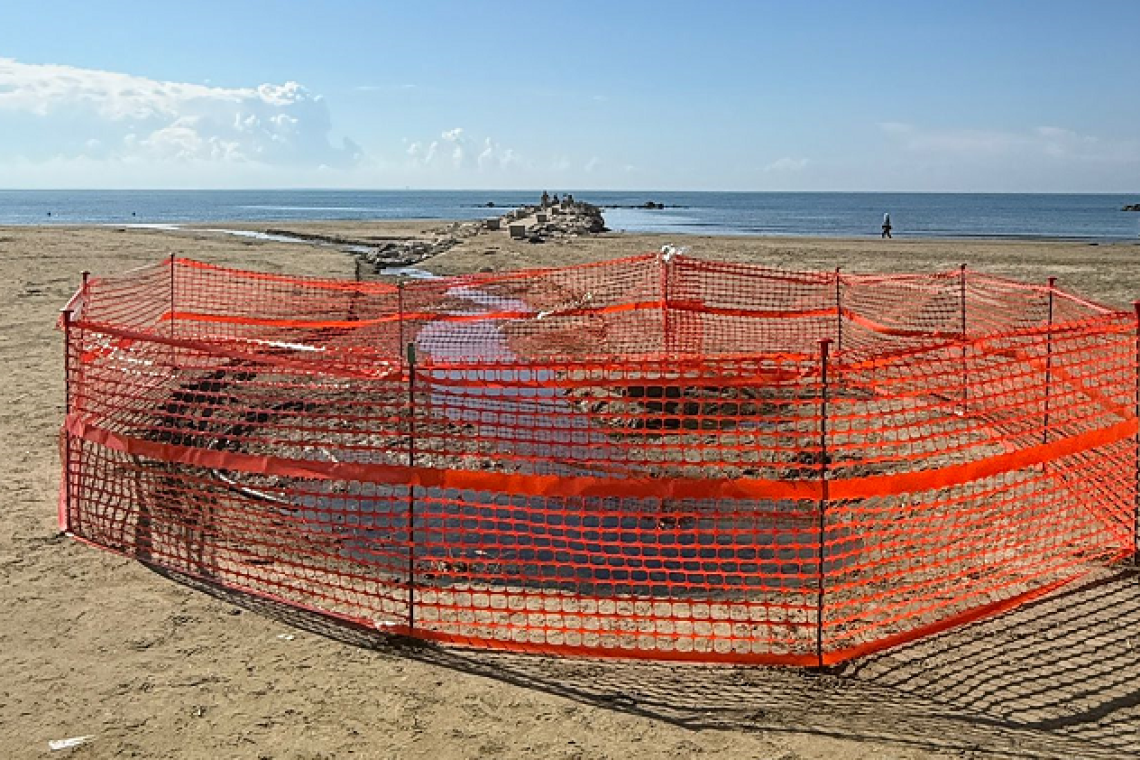 Nettuno, sopralluogo sulla spiaggia del Santuario: perdita idrica arriva fino al mare