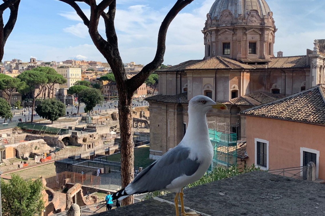 Un'ottobrata romana di cultura, tra cinema, arte, teatro e letteratura
