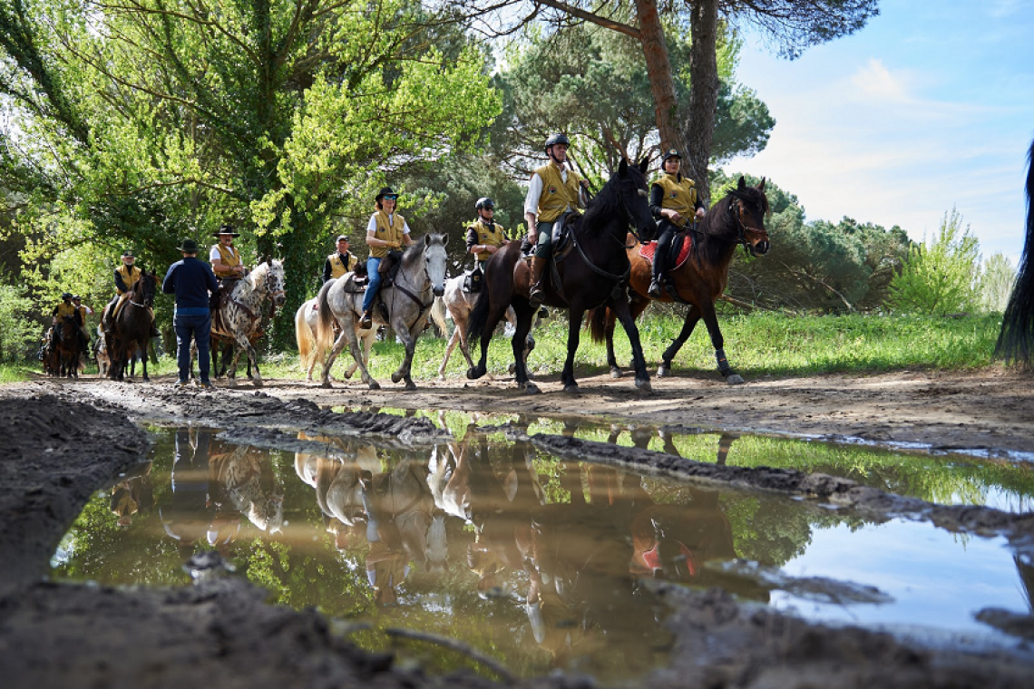   Equiraduno dell'Anno Santo si conclude con l'incontro dei cavalieri col Papa a San Pietro il 25 ottobre