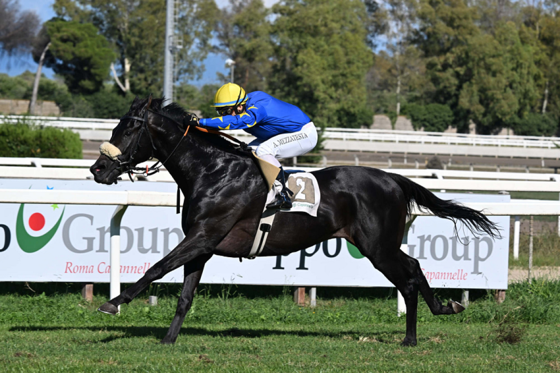 Domenica 26 ottobre è la giornata delle Listed Race all'Ippodromo Capannelle -Grande attesa per il Roma Champions Day in programma il 2 novembre
