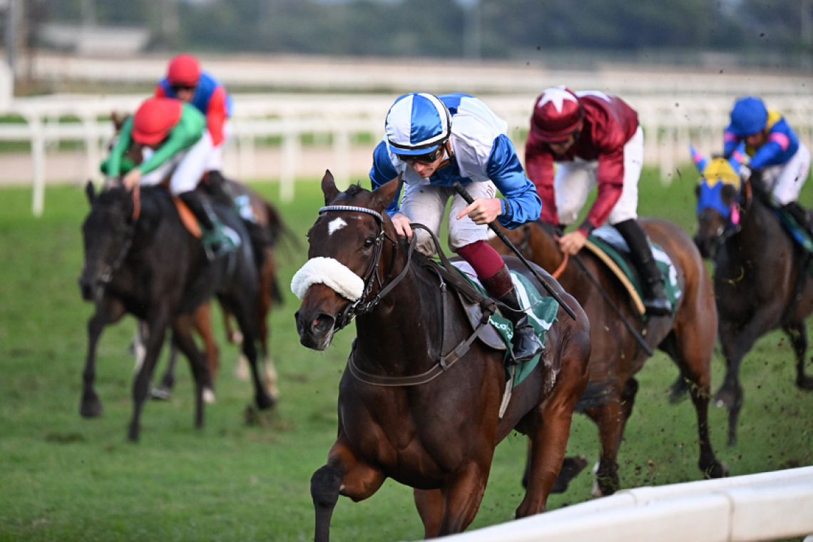 All' Ippodromo Capannelle il grande spettacolo del turf italiano Domenica 2 novembre è il  Roma Champions Day