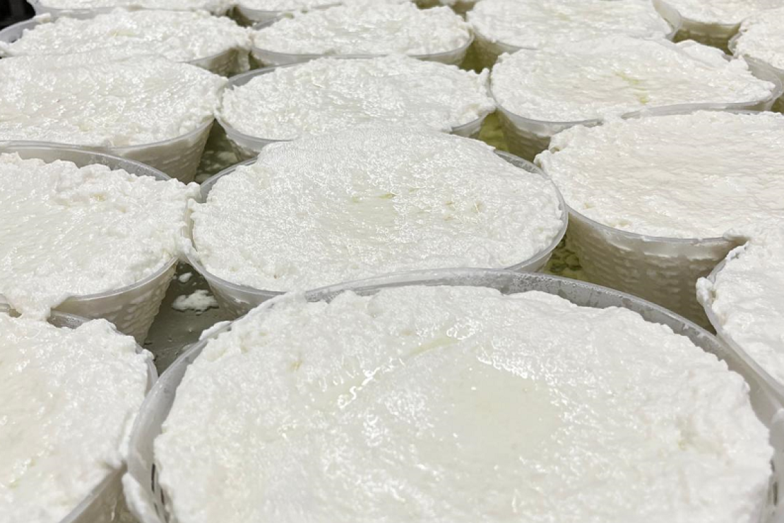 Fiordilatte, bocconcini e ricotta: il vero Made in Lazio nasce a Rieti