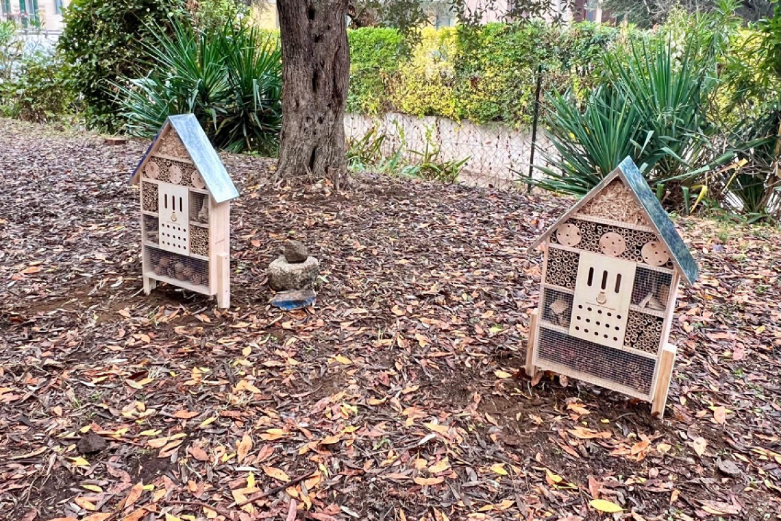 Giornata dell’Infanzia e dell’Adolescenza: installati nelle scuole del territorio i Bee Hotel per la tutela degli insetti impollinatori
