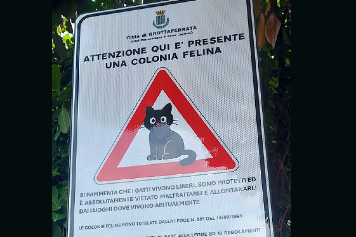 Grottaferrata, colonie feline: l’evento di sensibilizzazione per il riconoscimento, la sterilizzazione e la tutela dei gatti randagi sul territorio