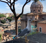 Quando Roma diventa laboratorio: sei giorni di ricerca artistica con EAR