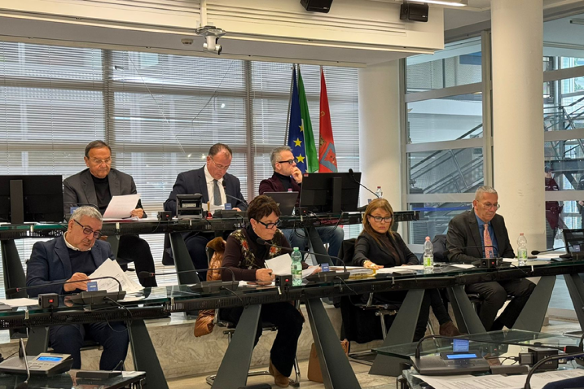 Fiumicino - Riperimetrazione della Riserva e sviluppo aeroportuale: approvata la proposta dal Consiglio comunale