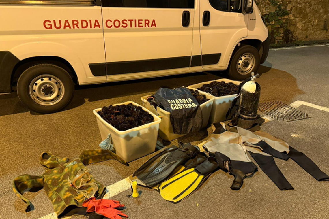 Guardia Costiera: blitz a Santa Marinella. 5000 ricci sequestrati e rimessi in mare