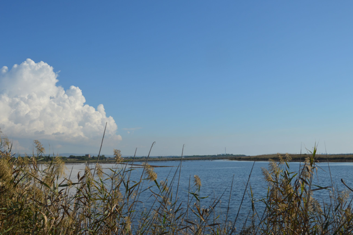 Tarquinia - Avviato il primo tavolo tecnico dopo la firma del protocollo sulle Saline. Presentato il masterplan per tutela e valorizzazione del sito